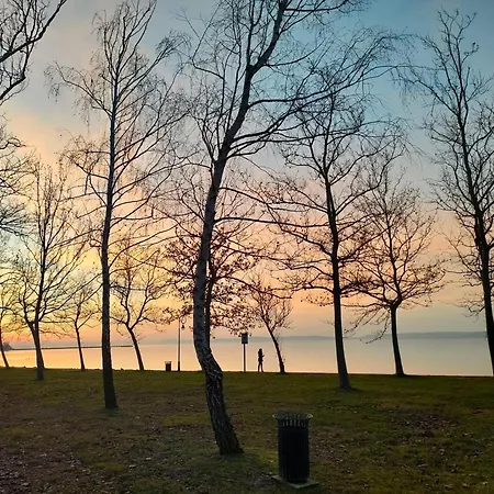Borics Apartment Balatonfoldvar